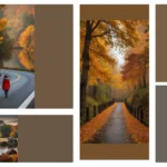 Fall-Fabulous Photography: 13 Nature Ideas to Capture the Season