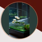 Inner Peace: 13 Inspiring Indoor Pond Ideas for Cozy Living Rooms