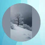 Winter Wonderland: 14 Aesthetic Wallpapers That Turn Screens into Magic