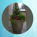 Winter Wonderland: 18 Front Porch Planter Ideas to Inspire