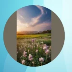 Instagram-Worthy Aesthetic Places: 10 Pretty Picks