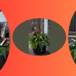 18 Whimsical Winter Planters to Brighten Your Porch