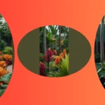 11 Modern Tropical Landscape Design Ideas to Refresh Your Home