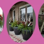 Creative Winter Planters: Easy Options for Your Front Porch