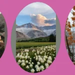 Dreamy Vintage Vibes: 10 Aesthetic Places to Capture Your Happy Moments