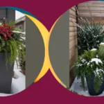 Frosty Front Porch Flair: DIY Winter Planters to Try