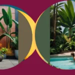 Dive into Modern Tropical Landscape Design with These 11 Ideas