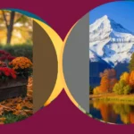 Transform Your Space: 11 Fall Floral Ideas That Wow