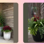Spruce Up Your Porch: 18 Winter Planter Ideas for Easy DIY