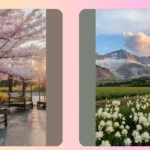 Nature and Nostalgia: Exploring 10 Aesthetic Gems That Brighten Your Day