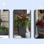 Charming and Cozy: 18 Easy Winter Planters for Your Front Porch