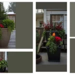 Have Yourself a Merry Little Porch: 18 Fabulous Winter Planters