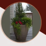 Brighten Up Winter: 18 Charming Planter Ideas for a Welcoming Porch