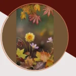 11 Creative Ways to Bring Autumn’s Floral Elegance into Your Life