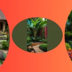 Spruce Up Your Courtyard: 20 Tropical Garden Ideas for Small Backyards