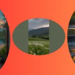 20 Picturesque Nature Spots to Brighten Your Feed and Spirit