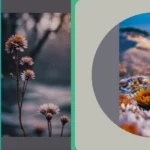 Make Every Click Count: 15 iPhone Wallpapers You’ll Love**  
**