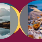 15 Vibrant iPhone Wallpapers to Boost Your Daily Vibes**  
**