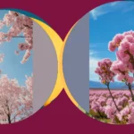 Pink Trees are Here to Stay: 17 Aesthetic Ideas You’ll Adore