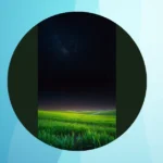 Discover the Night: 17 Ideas for Beautiful Nature Photography