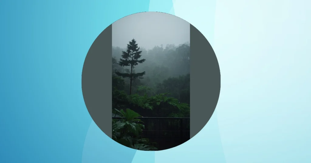 Transform Gloomy Days: 15 Rain Day Wallpapers For Your Aesthetic Needs