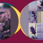 Discovering Lavender: 15 Pastel Wallpaper Ideas You Can’t Resist