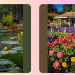 Thriving Flower Gardens: 15 Simple Ideas for Your Perfect Outdoor Space