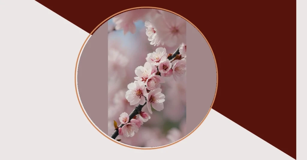 15 Whimsical Sakura Wallpaper Ideas to Enchant Your Screens
