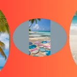 *Coconut Dreams: 16 Wallpapers for the Ultimate Tropical Vibe*