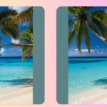 Escape to Paradise: 16 Coconut Beach Wallpaper Inspirations for Your Screens