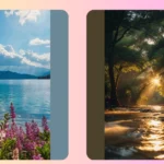 Purrfect Photography: 19 Nature Spots for You and Your Cat**  
**