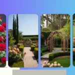 18 Rose Garden Design Ideas for the Everyday Gardener