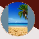 Screen Dreams: 16 Coconut Beach Wallpaper Ideas for Your Tropical Escape