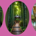 Transform Your Space with 21 Bamboo Garden Ideas