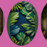 21 Premium Wallpaper Background Ideas for a Picturesque Device Experience