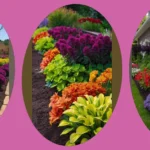 Brighten Up Your Curb Appeal: 18 Seasonal Flower Bed Ideas