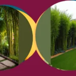Unleash Your Creativity with 21 Bamboo Garden Ideas