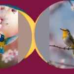 Let Your Walls Sing: 20 Captivating Spring Birds Wallpaper Ideas