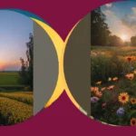 Picture-Perfect Moments: 16 Flower Field Photography Ideas You Can’t Miss