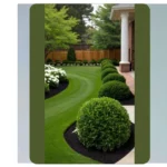 Transform Your Front Yards with These 15 Property Line Landscaping Ideas