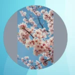 Create a Blossoming Wonderland: 16 Charming Flowering Trees