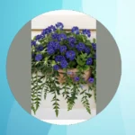 Landscaping Made Easy: 20 Faux Outdoor Plants for Stunning Porches