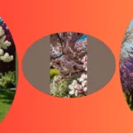 Garden Splendor: Top 16 Flowering Trees to Enhance Your Space