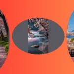 21 Cherry Blossom Spots That Will Make You Say ‘Swoon!’**  
**