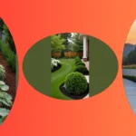 Elevate Your Backyards with Creative Property Line Landscaping Ideas