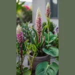 The Ultimate Faux Plant Showdown: 20 Ideas for Front Doors and More!