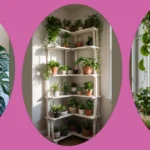Elevate Your Space: 16 Room Plants for Cozy Living Decor