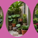 Embracing Tranquility: 18 Italian Courtyard Garden Ideas to Inspire You