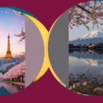 21 Magical Cherry Blossom Locations That Should Be on Everyone’s Radar