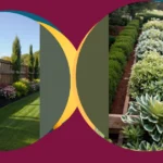 Landscaping Magic: 15 Ideas to Revamp Your Property Lines**  
**